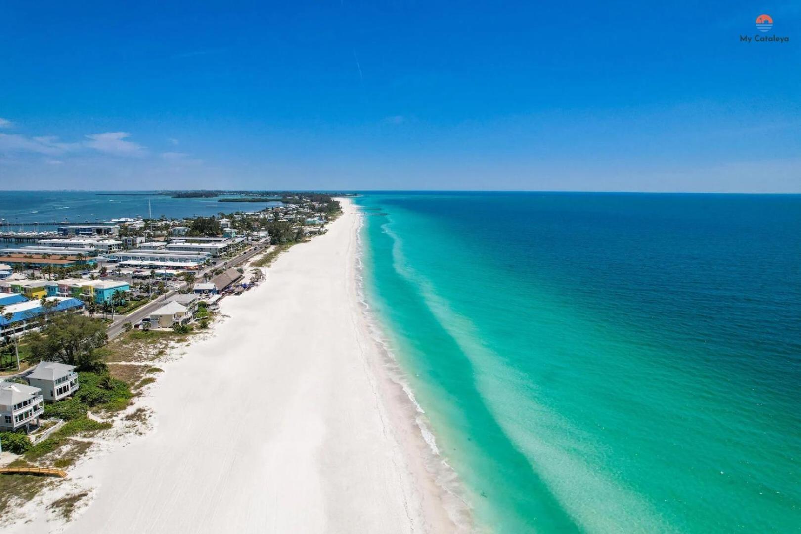 Mycataleya Beautiful Florida