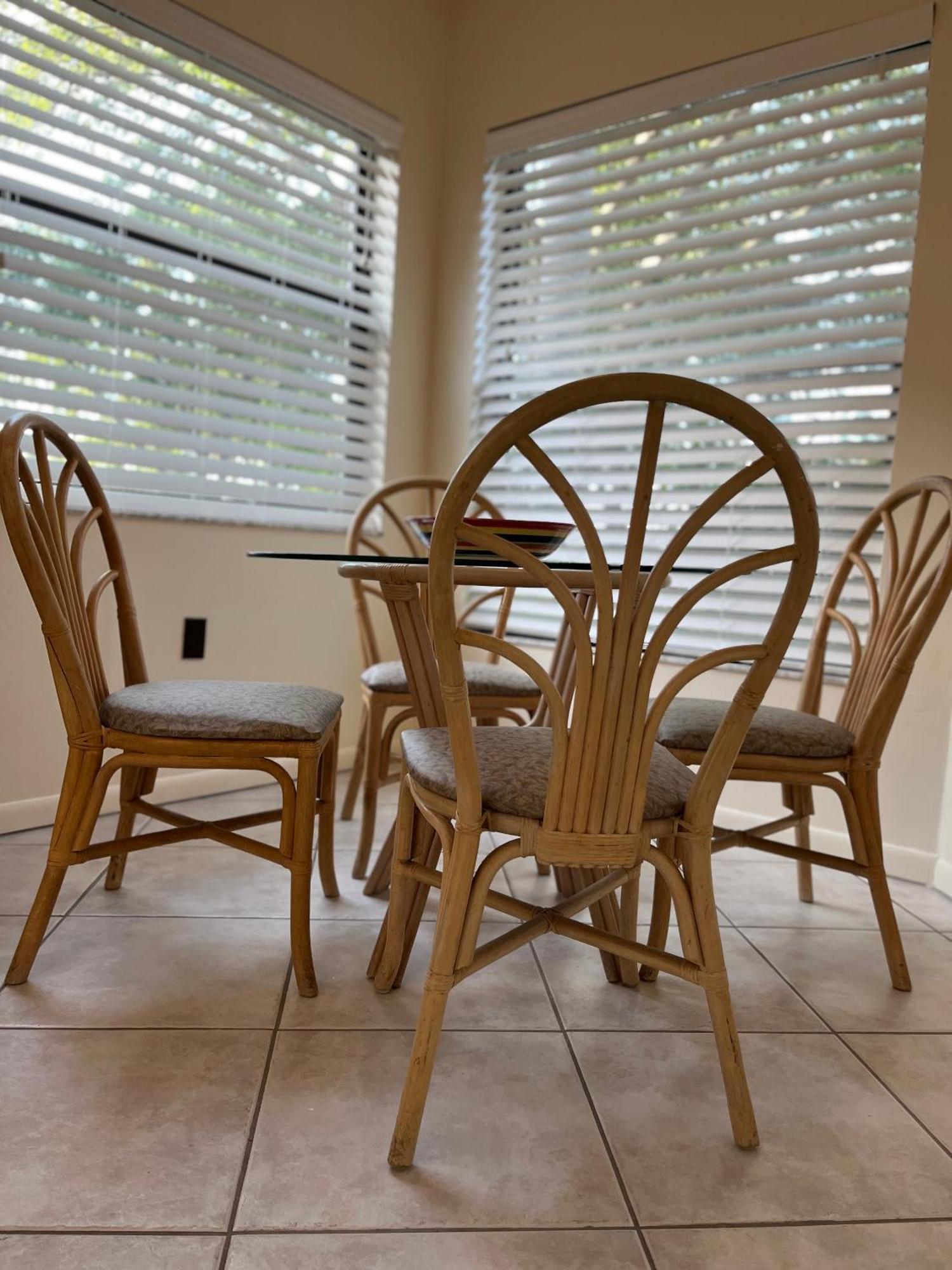 Mycataleya Beautiful Florida Bradenton